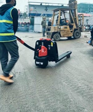 Xe Nâng Tay điện 2 Tấn F4 4