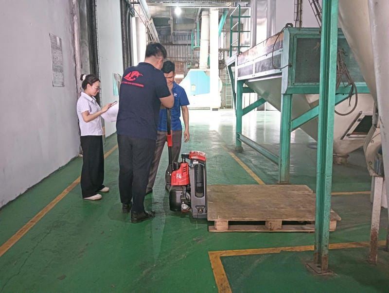 Xe Nâng Tay điện F4 1