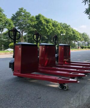 Xe Nâng Tay Điện 3 Tấn Pallet Truck Tya30 Ắc Quy Chì 4832 Vah 5